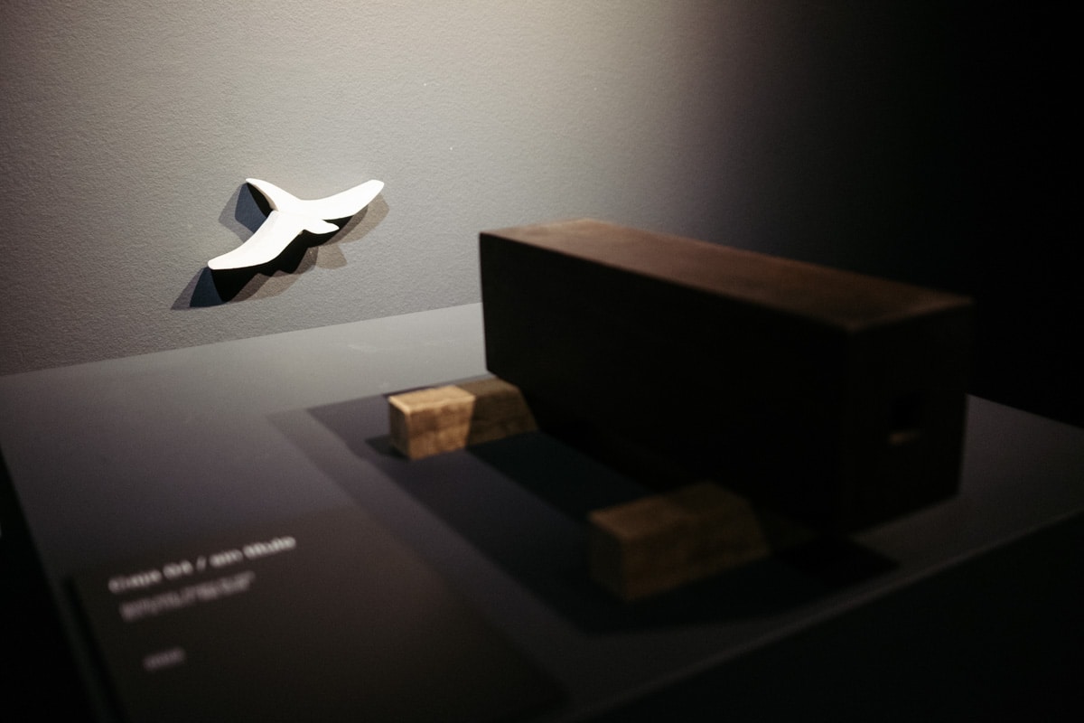 DSCF3204 Javier Poveda trae su 'Preludio' en madera al Aquarium de Donostia