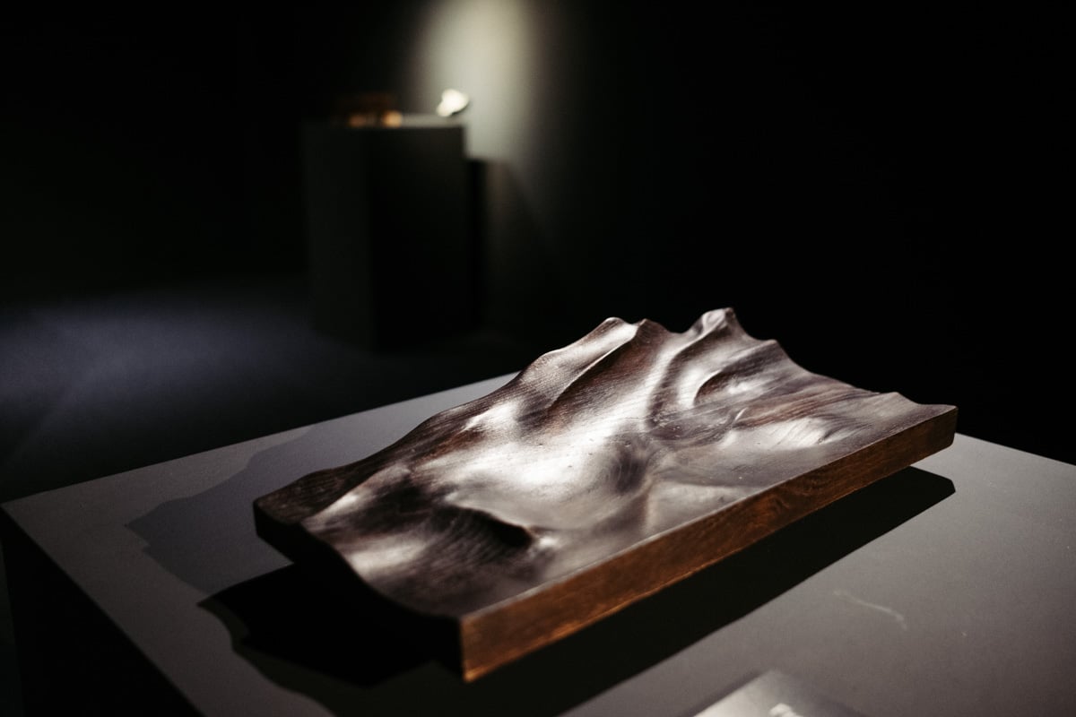 DSCF3206 Javier Poveda trae su 'Preludio' en madera al Aquarium de Donostia