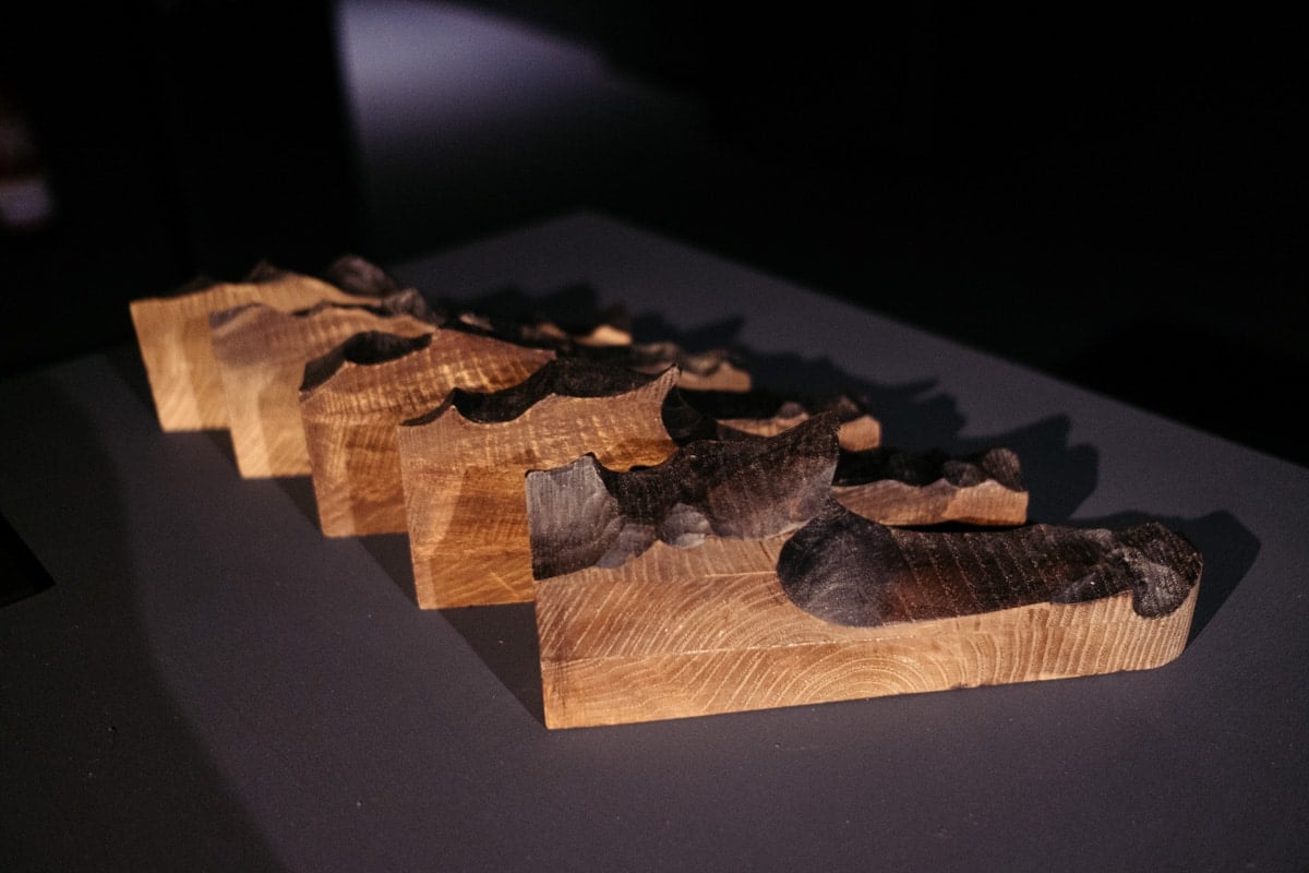 DSCF3208 - Javier Poveda trae su 'Preludio' en madera al Aquarium de Donostia