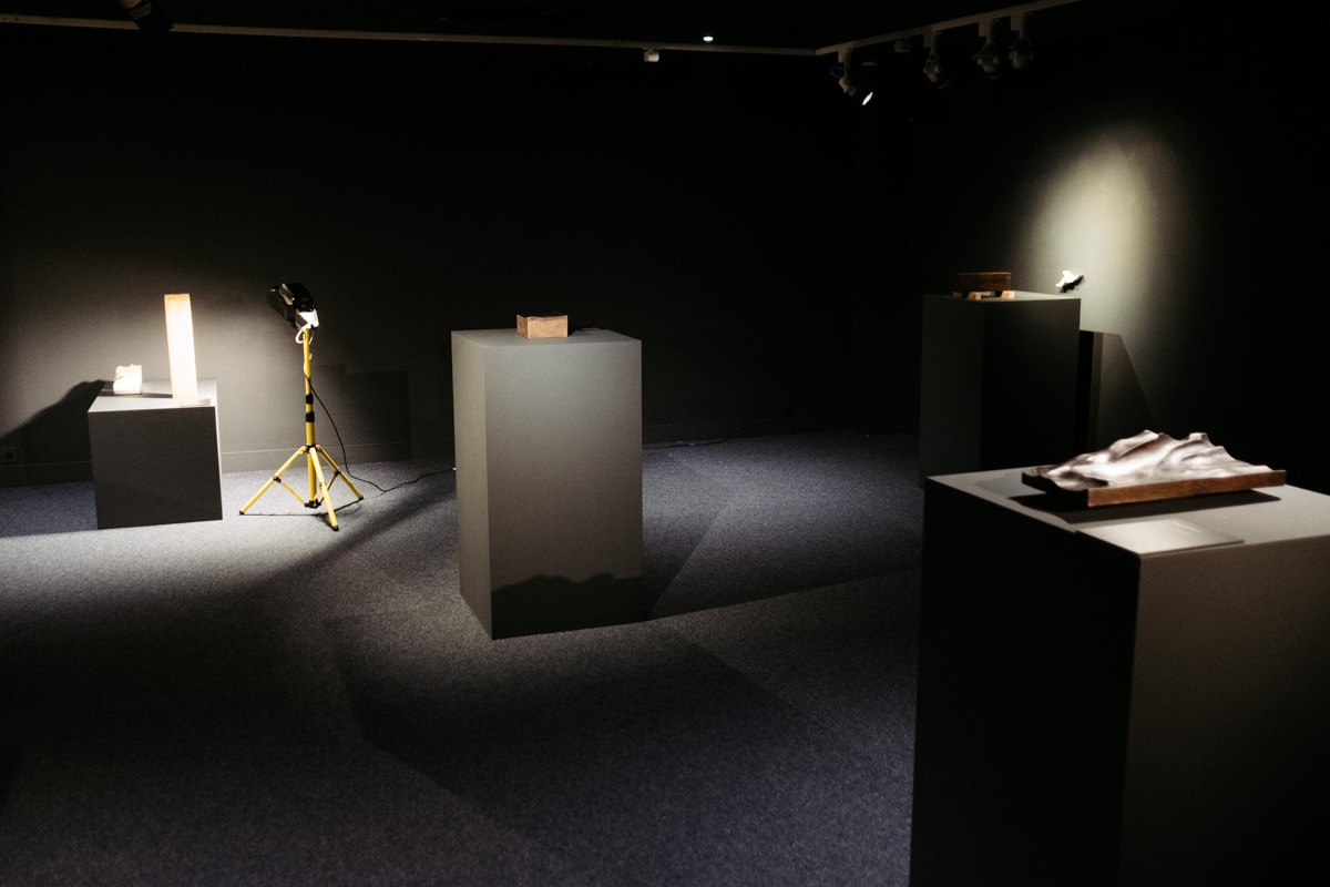 DSCF3210 Javier Poveda trae su 'Preludio' en madera al Aquarium de Donostia