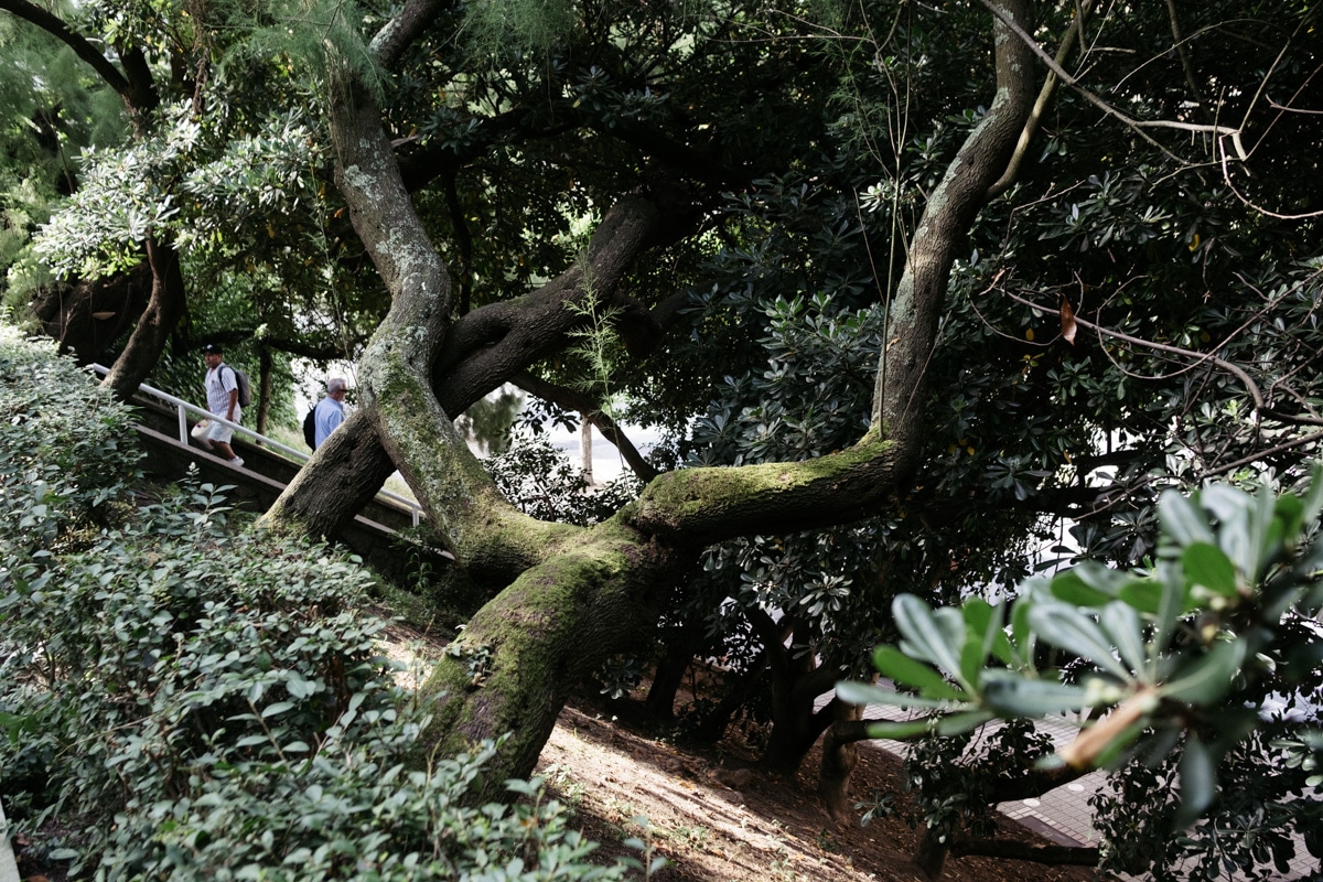 DSCF3292 “El nuevo Basque Culinary Center costará mucho más de 26 millones de euros”