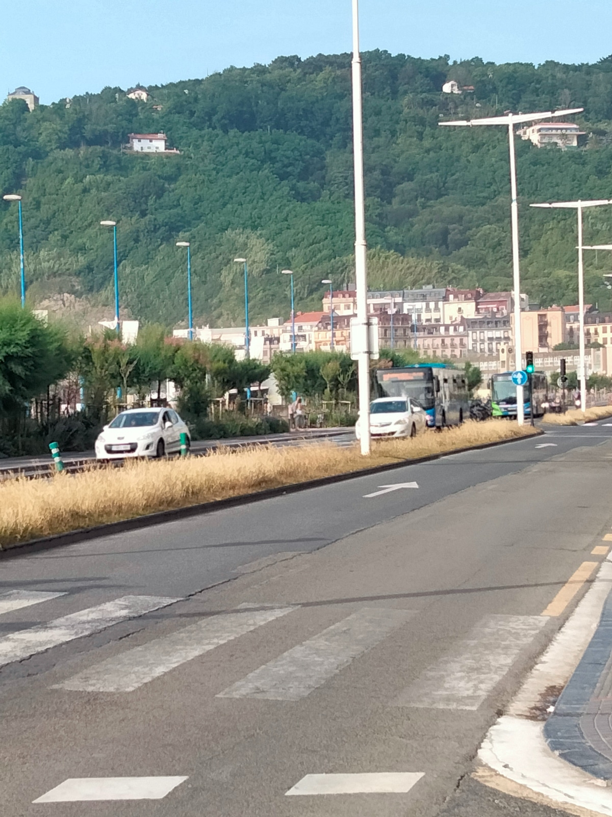 IMG202206171859231 Un donostiarra preocupado por "la desaparición" de zonas ajardinadas