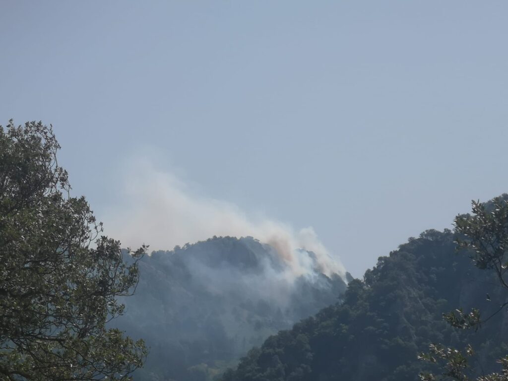 ataun (Lazkao) Tres hectáreas quemadas y varios animales muertos en un incendio
