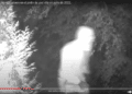 Un merodeador grabado por una cámara en el interior de un jardín de Atotxa Erreka. Vídeo en el interior.