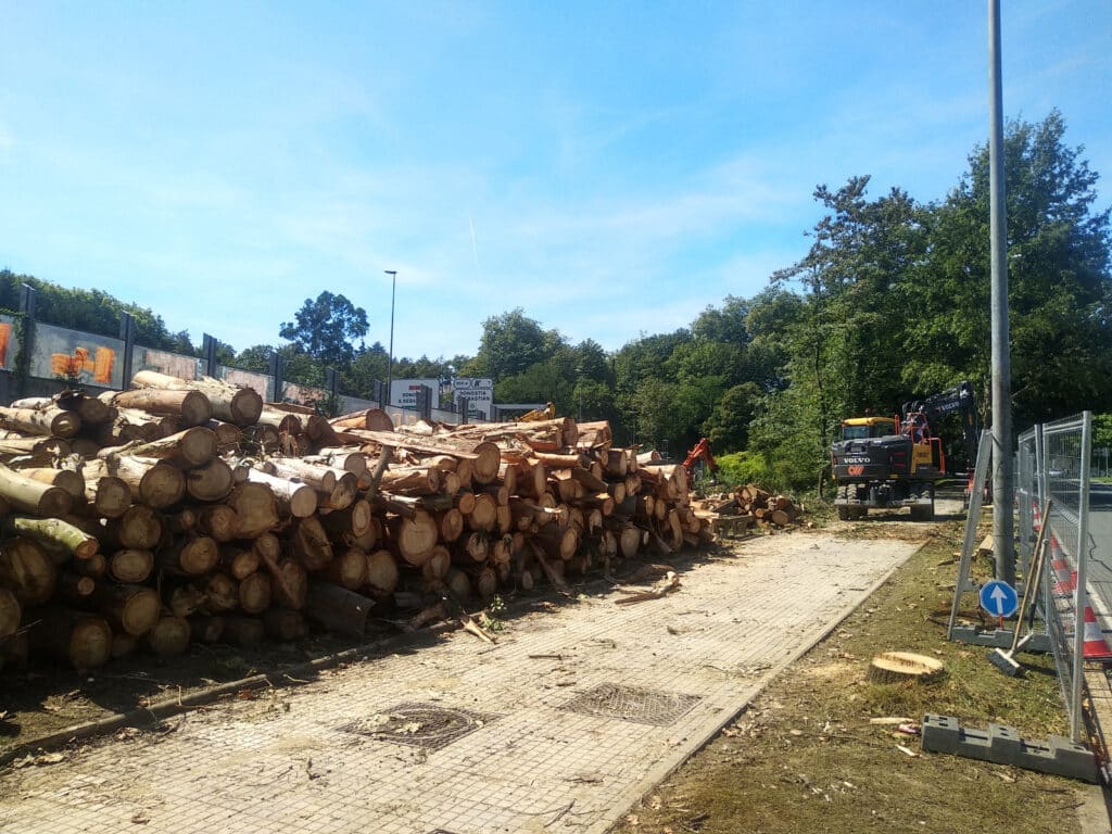 542 ZUHAITZ GUTXIAGO DONOSTIAN 542 ARBOLES MENOS EN DONOSTIA Más de 500 árboles "colosales" son talados en Marrutxipi