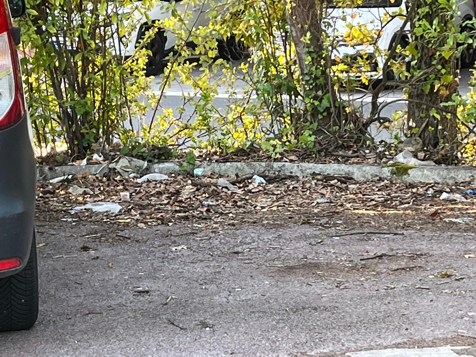 Bera Bera1 "Escombros, basura y jardines sin cuidar en Bera-Bera"