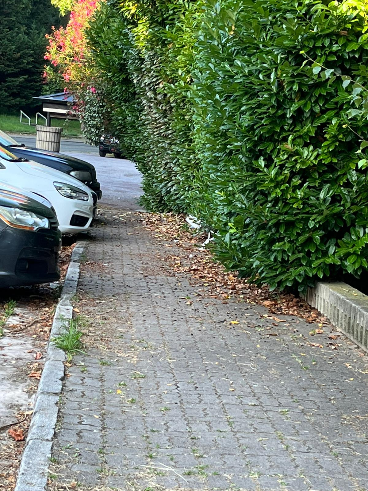 Bera Bera3 "Escombros, basura y jardines sin cuidar en Bera-Bera"