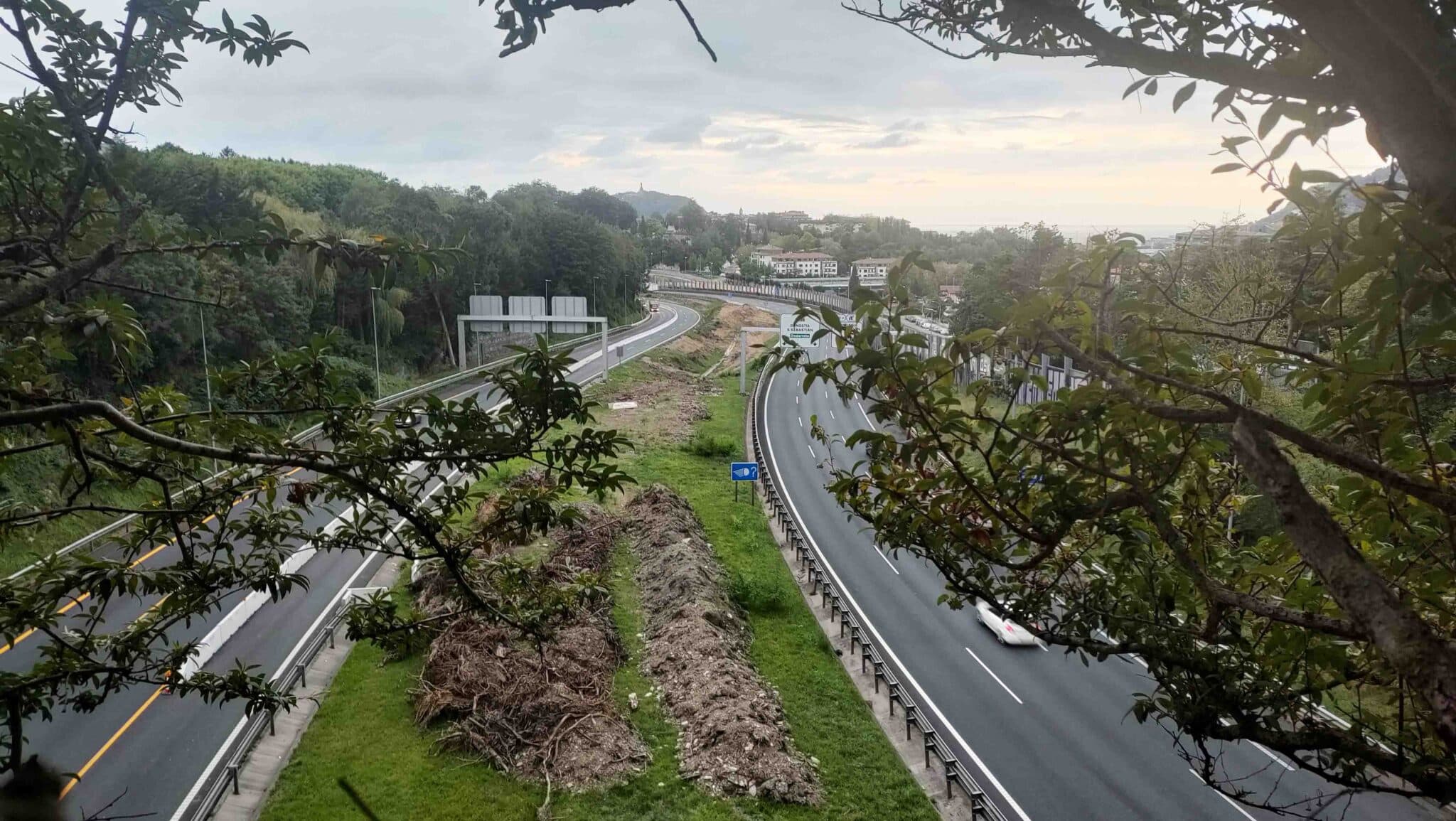 2. ERDIBITZAILEAN ZEUDEN 123 ZUHAITZAK MOZTU DITUZTE HAN TALADO LOS 123 ARBOLES QUE HABIA EN LA MEDIANA scaled Marrutxipi: Ecologistas y vecinos piden medidas para amortiguar los efectos de la tala
