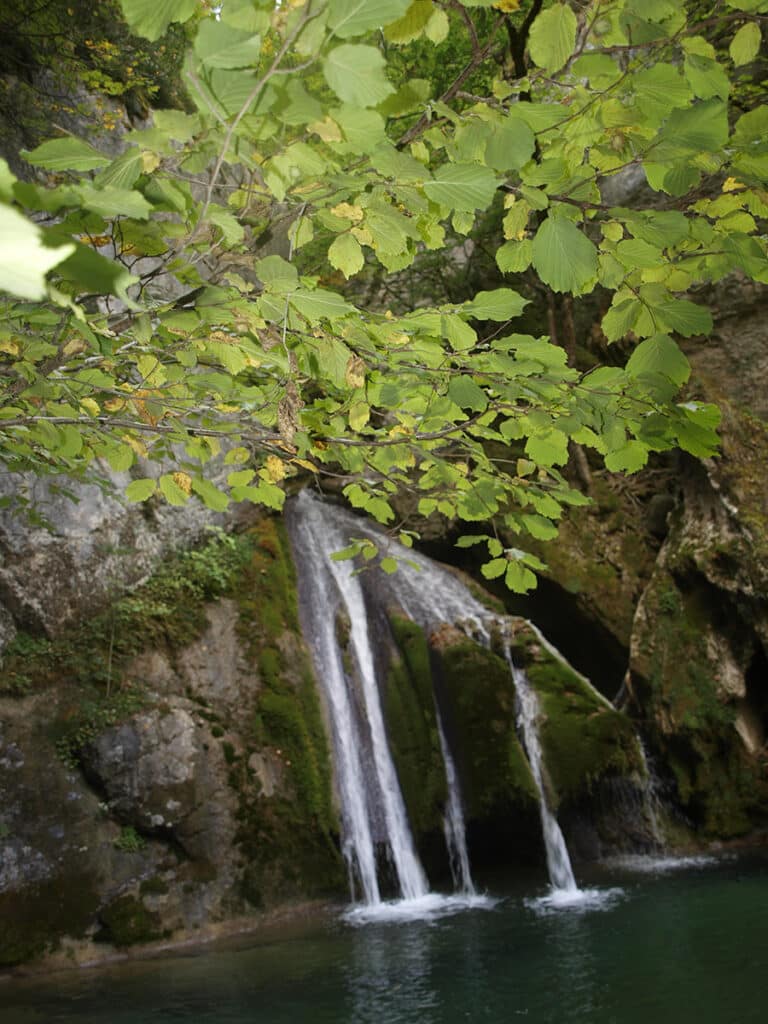Cascada de Belabarze2 Visita a Belabarze, el bosque primigenio