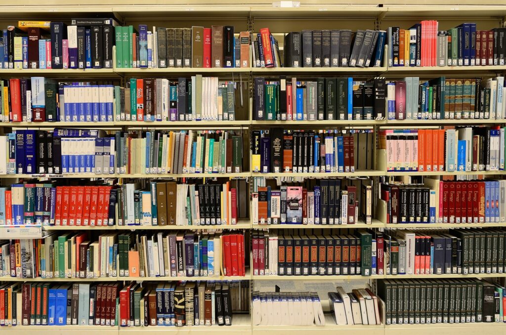 library g75c6214c8 1280 Comienza hoy Literaktum con Jesús Carrasco y Pello Lizarralde