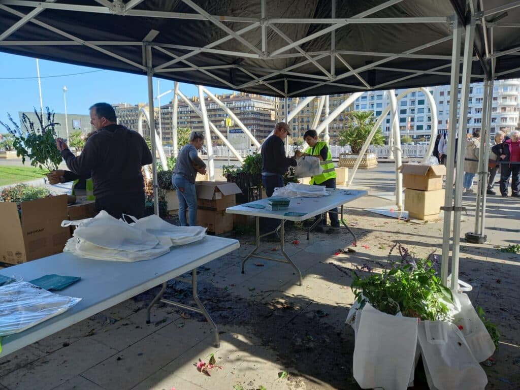plantas2 Próximo reparto de plantas, el viernes en la plaza Pío XII