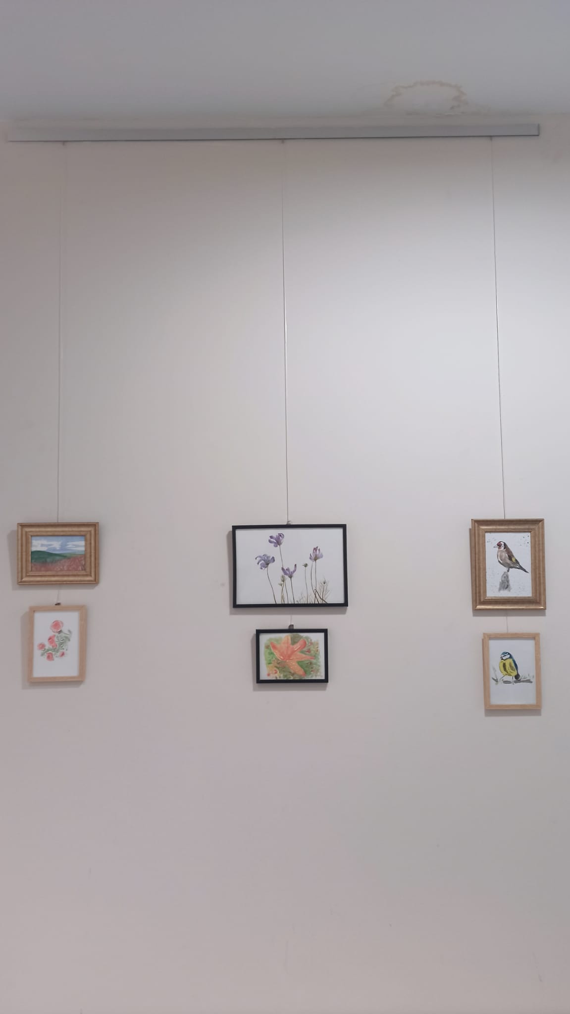 Angela Exposición de acuarelas de Ángela Redondo en Arkupe (Aretxabaleta)