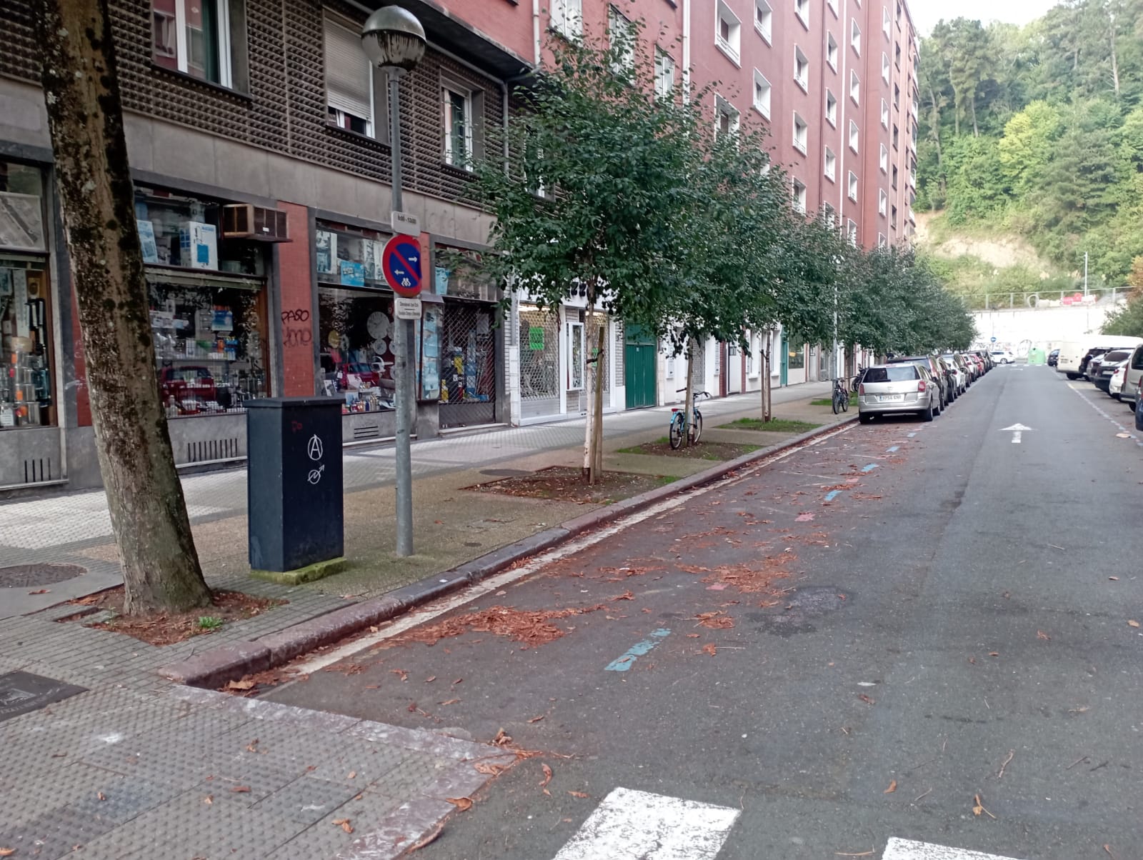 Azpeitia calle "Lamentable estado" de las plazas de carga y descarga en Amara