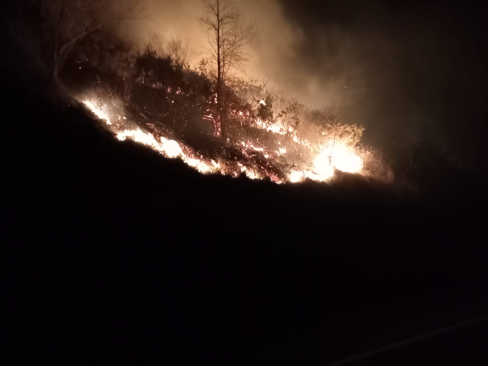 Asteasu2 - Bomberos sofocan un incendio forestal en Asteasu