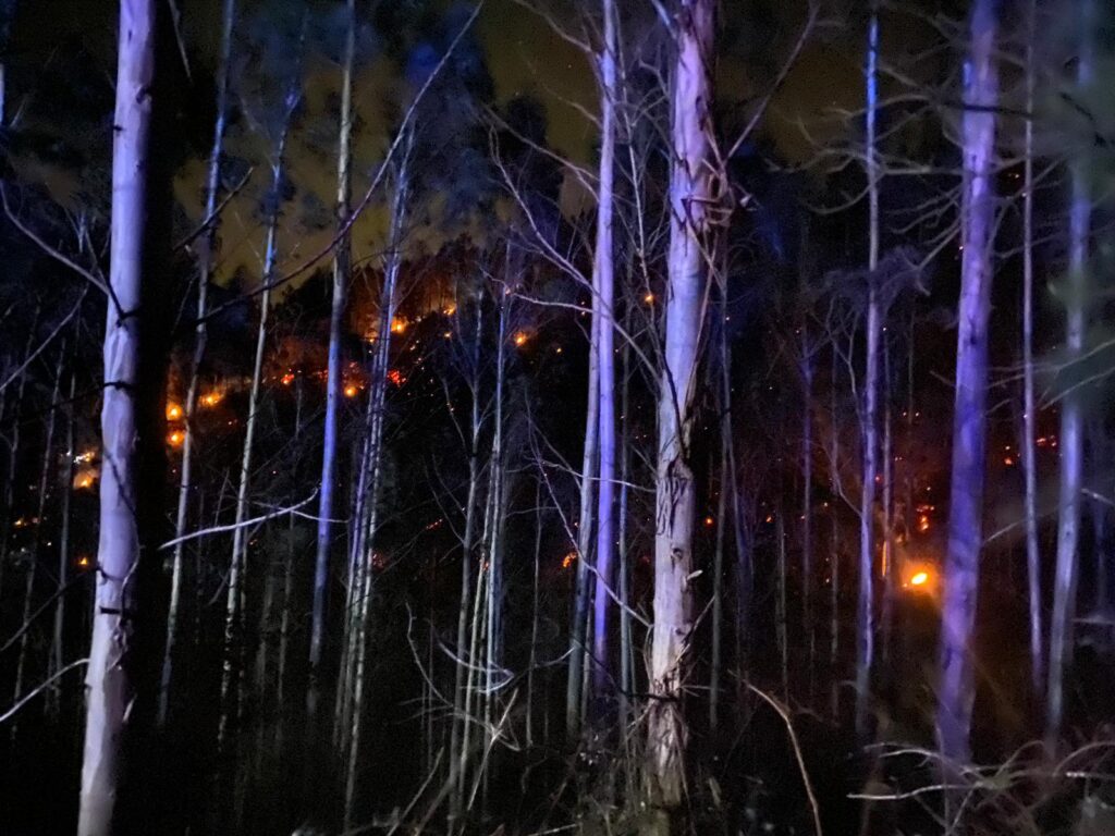 Zestoa2 Un incendio forestal en Zestoa obliga a desalojar a una treintena de vecinos