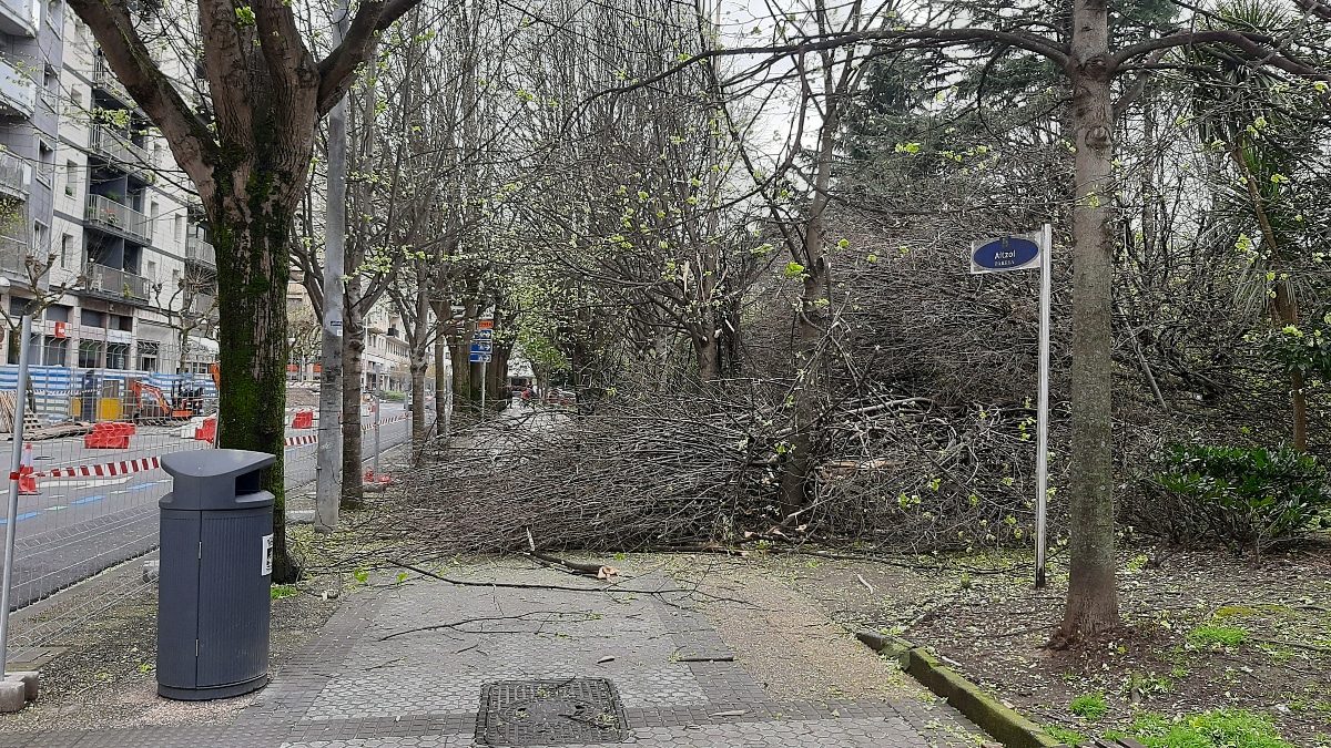 20230402 164532 - Cae un árbol en el parque Aitzol de Amara Berri