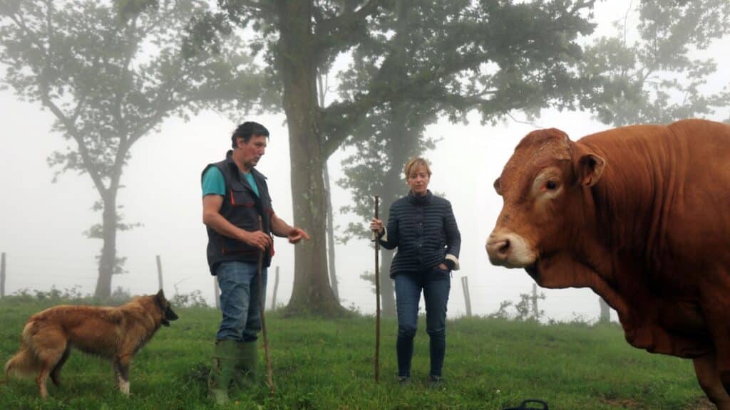 Eider Mendoza ELECCIONES- Eider Mendoza (PNV) aboga por mantener "un medio rural vivo"