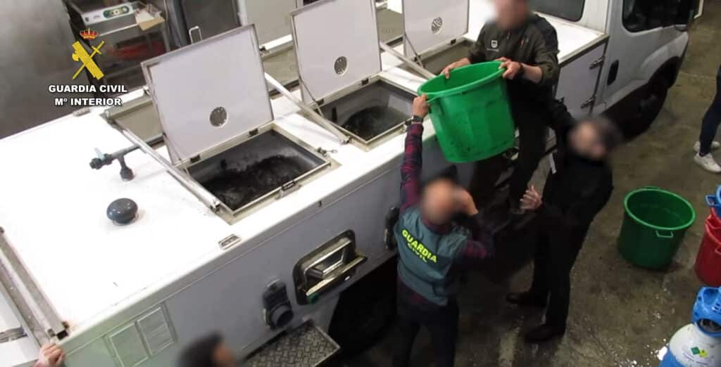 GuardiaCivil Angulas Europa logra resultados "absolutamente espectaculares" contra el tráfico de angulas