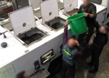 Imagen del vídeo de la Guardia Civil sobre la operación contra el tráfico de angulas (vídeo en el interior)