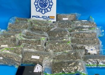 Marihuana incautada por la Policía Nacional en Irun