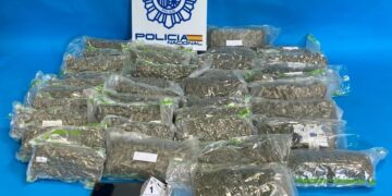 Marihuana incautada por la Policía Nacional en Irun