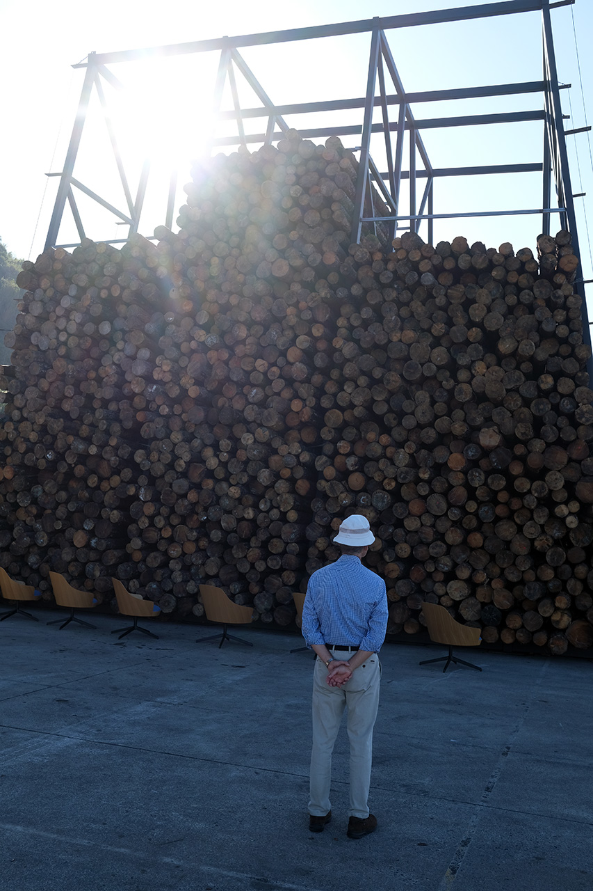 XE4S4407 - "Lost Forest", toneladas de madera quemada en Sagüés para concienciar sobre los incendios