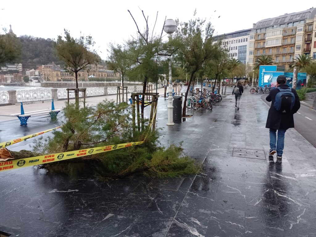 El temporal de viento deja 52 incidentes en Gipuzkoa, sobre todo por caídas de ramas 2 WhatsApp Image 2023 11 02 at 08.30.17 El temporal de viento deja 52 incidentes en Gipuzkoa, sobre todo por caídas de ramas