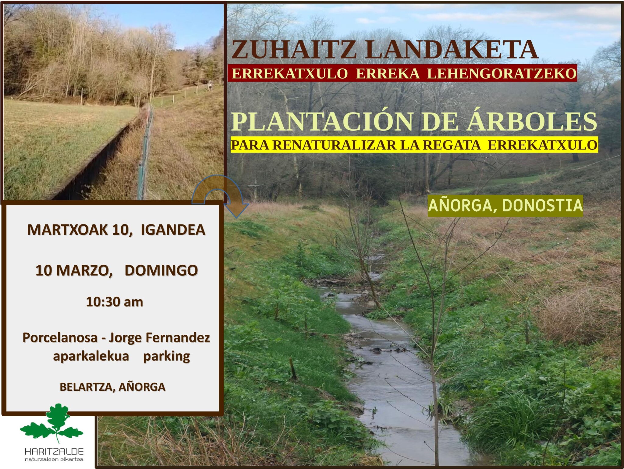 ERREKATXULO LANDAKETA KARTELA scaled - Haritzalde invita a plantar árboles en Errekatxulo (Añorga)