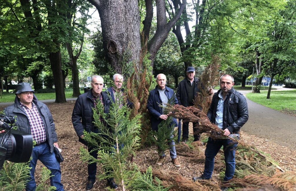 ENBA Denuncian la tala de 11.000 árboles en sendos sabotajes en Azpeitia y Berango