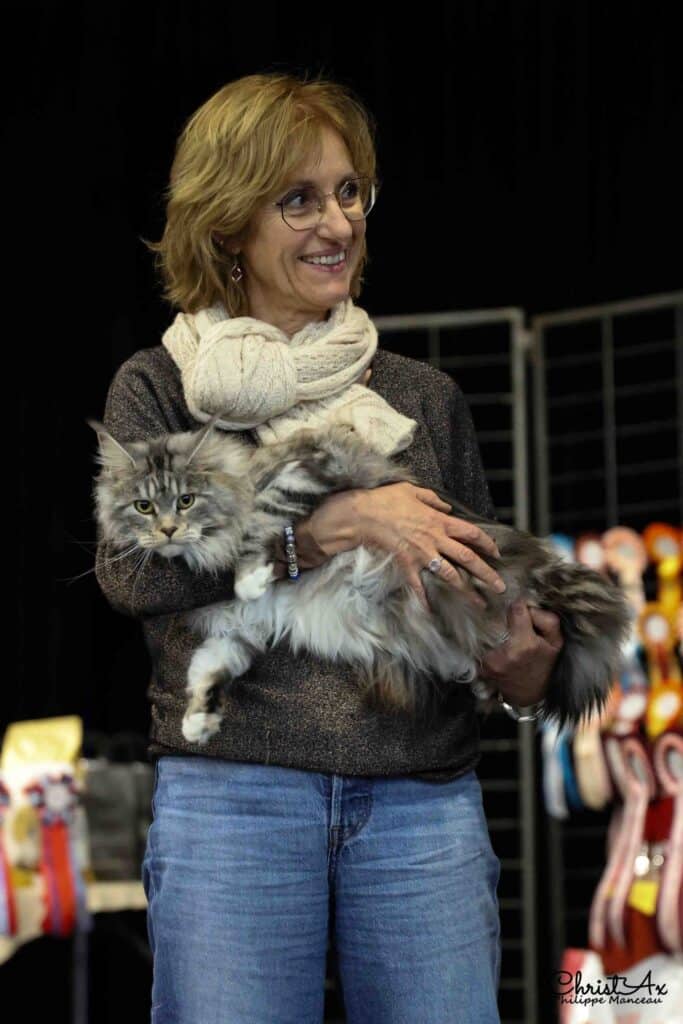 Felina Ficoba 140 gatos de 22 razas diferentes participarán en la Exposición Internacional Felina de Ficoba (Irun)