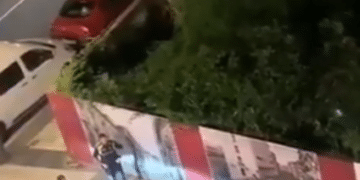 Imagen del vídeo de redes con el hombre ya en el suelo.
