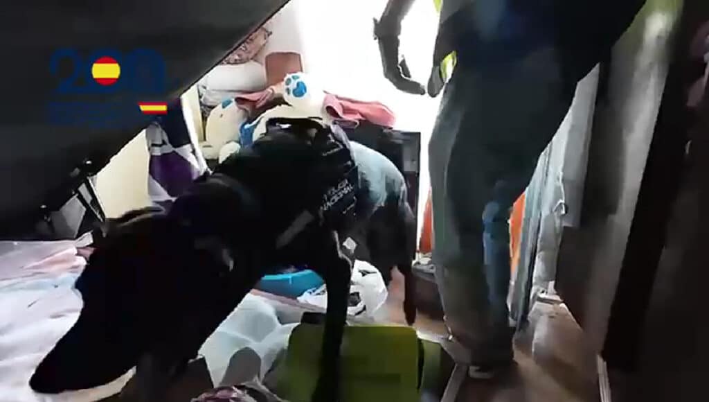 Detencion Irun (Vídeo) Detenidos un padre y un hijo por traficar con hachís y cocaína en un piso de Irun