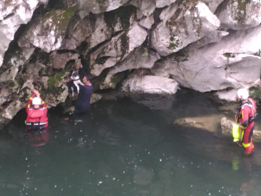 Rescatan a un vecino de Andoain y su perro tras caer al río en Puente Viesgo (Cantabria) 16 GPjpgfPXAAAiTA Rescatan a un vecino de Andoain y su perro tras caer al río en Puente Viesgo (Cantabria)