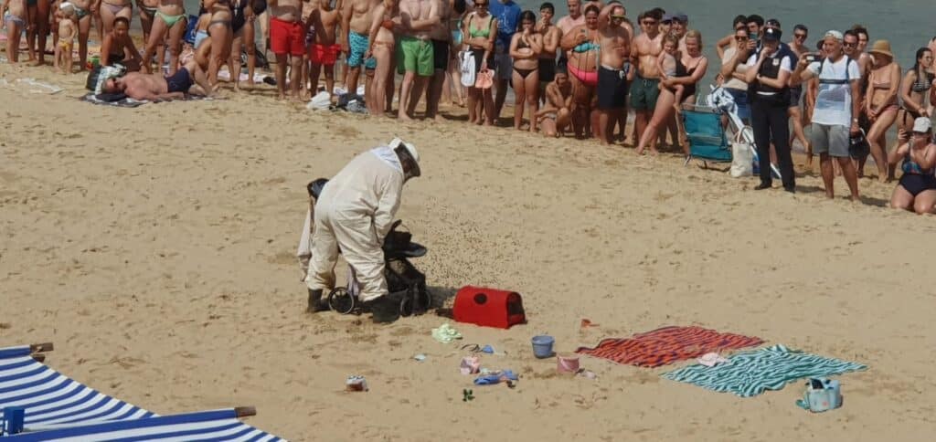 (Vídeo) Alarma por un enjambre de abejas en la playa de la Concha 2 WhatsApp Image 2024 07 28 at 11.45.53 (Vídeo) Alarma por un enjambre de abejas en la playa de la Concha