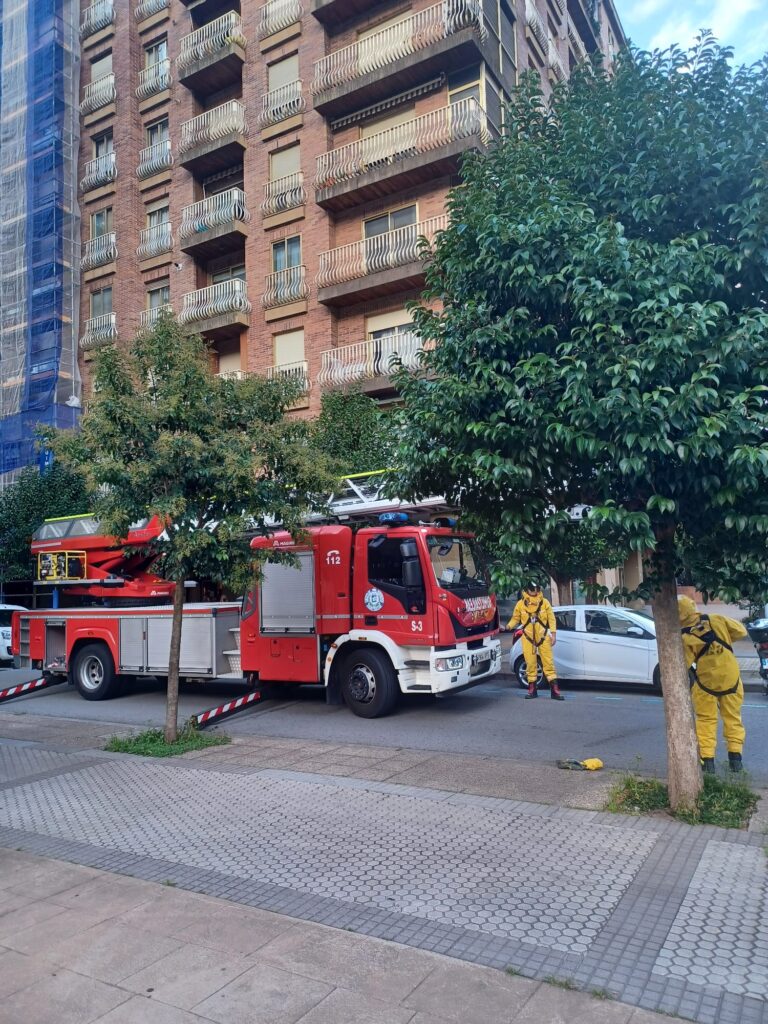 WhatsApp Image 2025 08 29 at 19.50.07 (Fotos y vídeo) Los bomberos retiran un avispero de un balcón de Amara Berri
