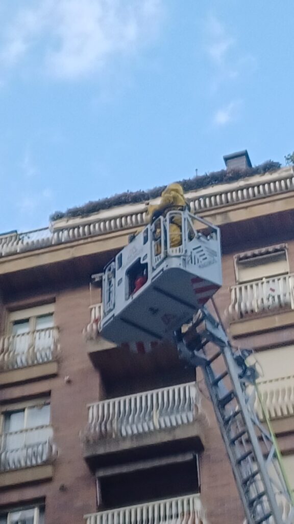 WhatsApp Image 2025 08 29 at 19.54.24 (Fotos y vídeo) Los bomberos retiran un avispero de un balcón de Amara Berri