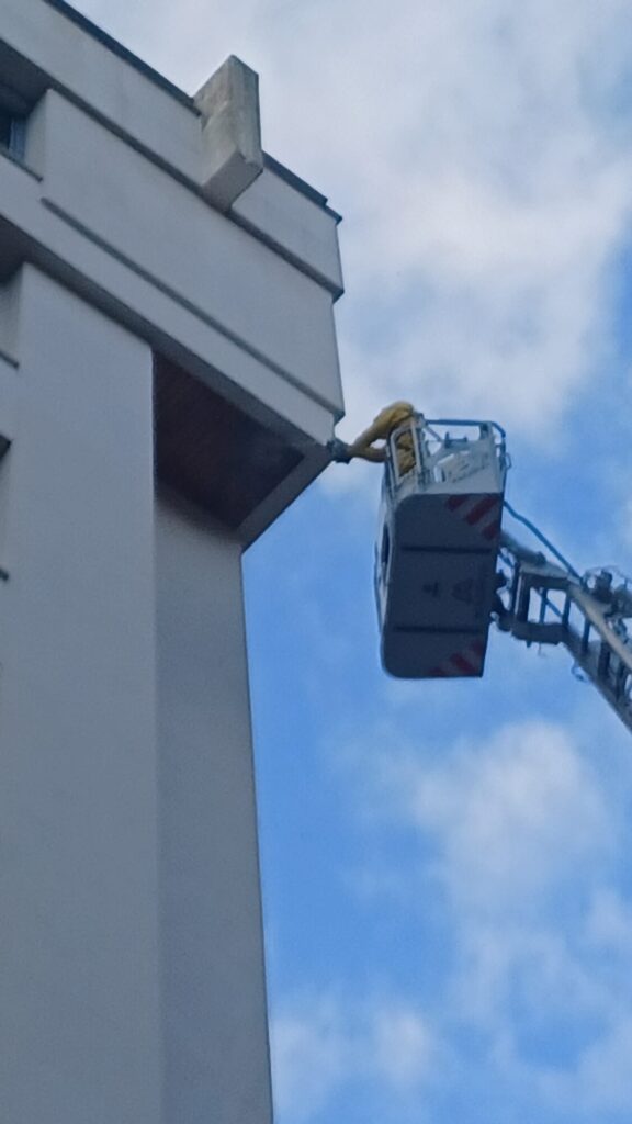 WhatsApp Image 2025 08 29 at 19.55.00 (Fotos y vídeo) Los bomberos retiran un avispero de un balcón de Amara Berri