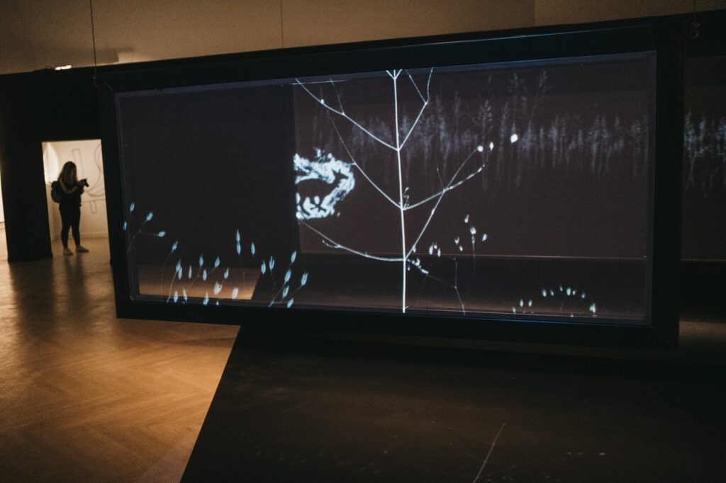 Isabel Herguera Kutxa Fundazioa celebra 25 años de Kubo y 10 de Artegunea, dos espacios que ya son patrimonio donostiarra