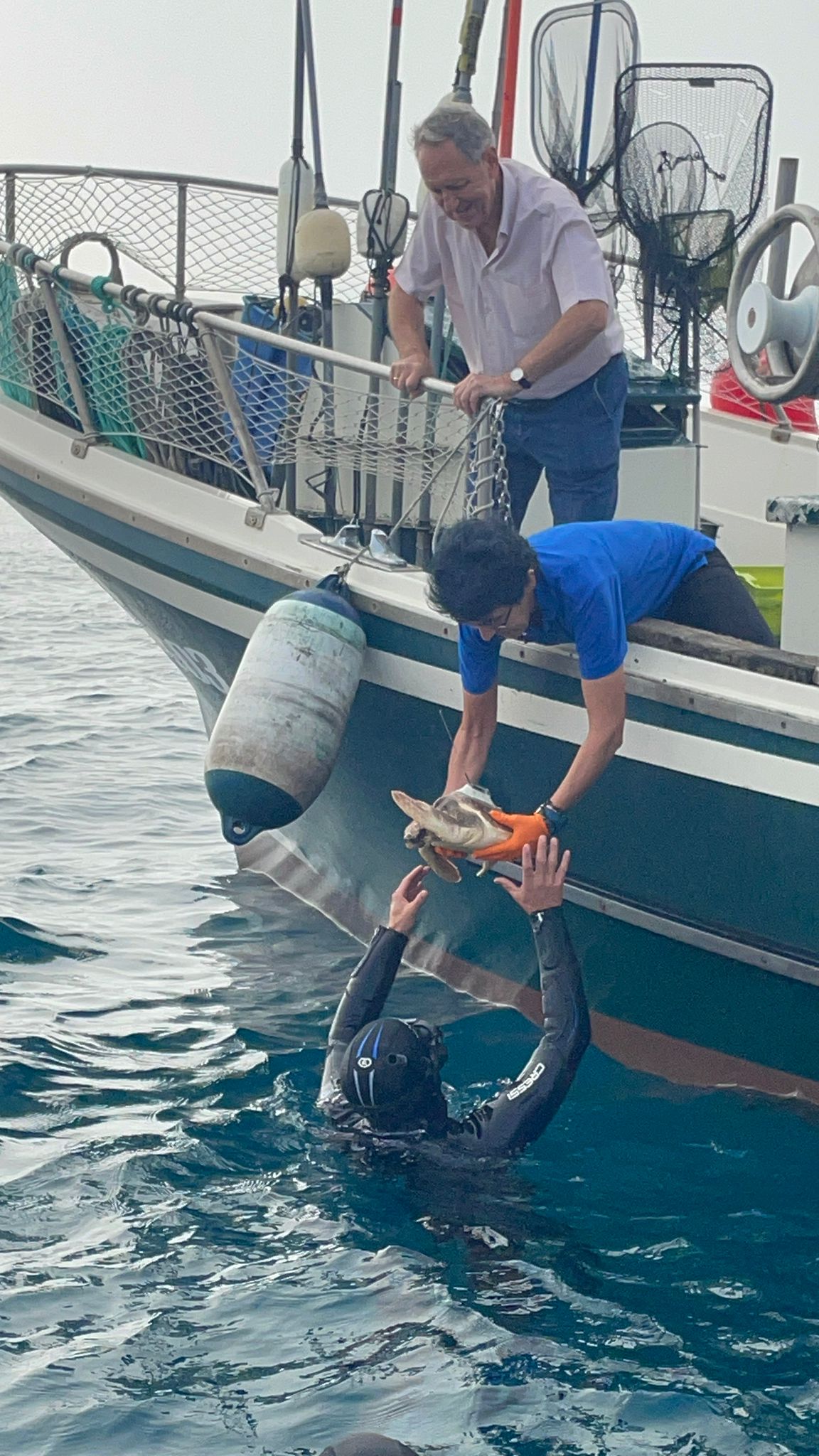 1760087492381 Devueltas al mar tres tortugas caretta recuperadas en Donostia con GPS para su seguimiento