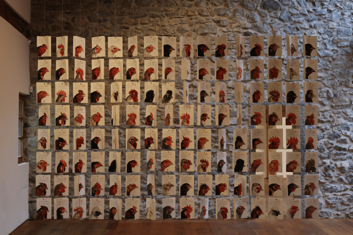 Gallina2 Chillida Leku abre 'Limina: Cosmopolitan Chicken Project 30', una invitación a repensar los límites entre arte, ciencia y vida