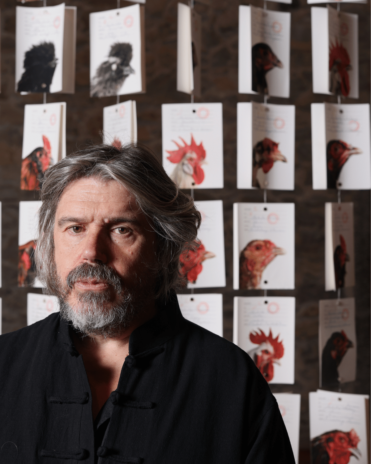 Gallina3 Chillida Leku abre 'Limina: Cosmopolitan Chicken Project 30', una invitación a repensar los límites entre arte, ciencia y vida