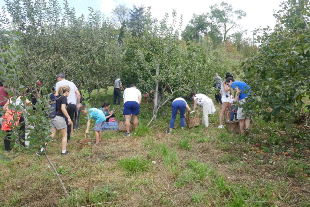 El caserío Katxola de Aiete recupera la Sagar Uzta después de seis años sin celebrarse