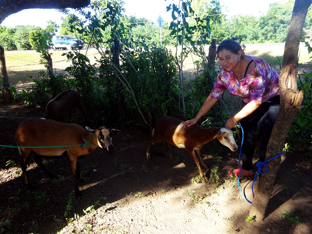 Albisteak 4 Placeholder