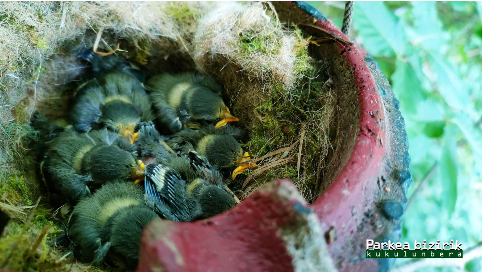 Portada 9 Placeholder