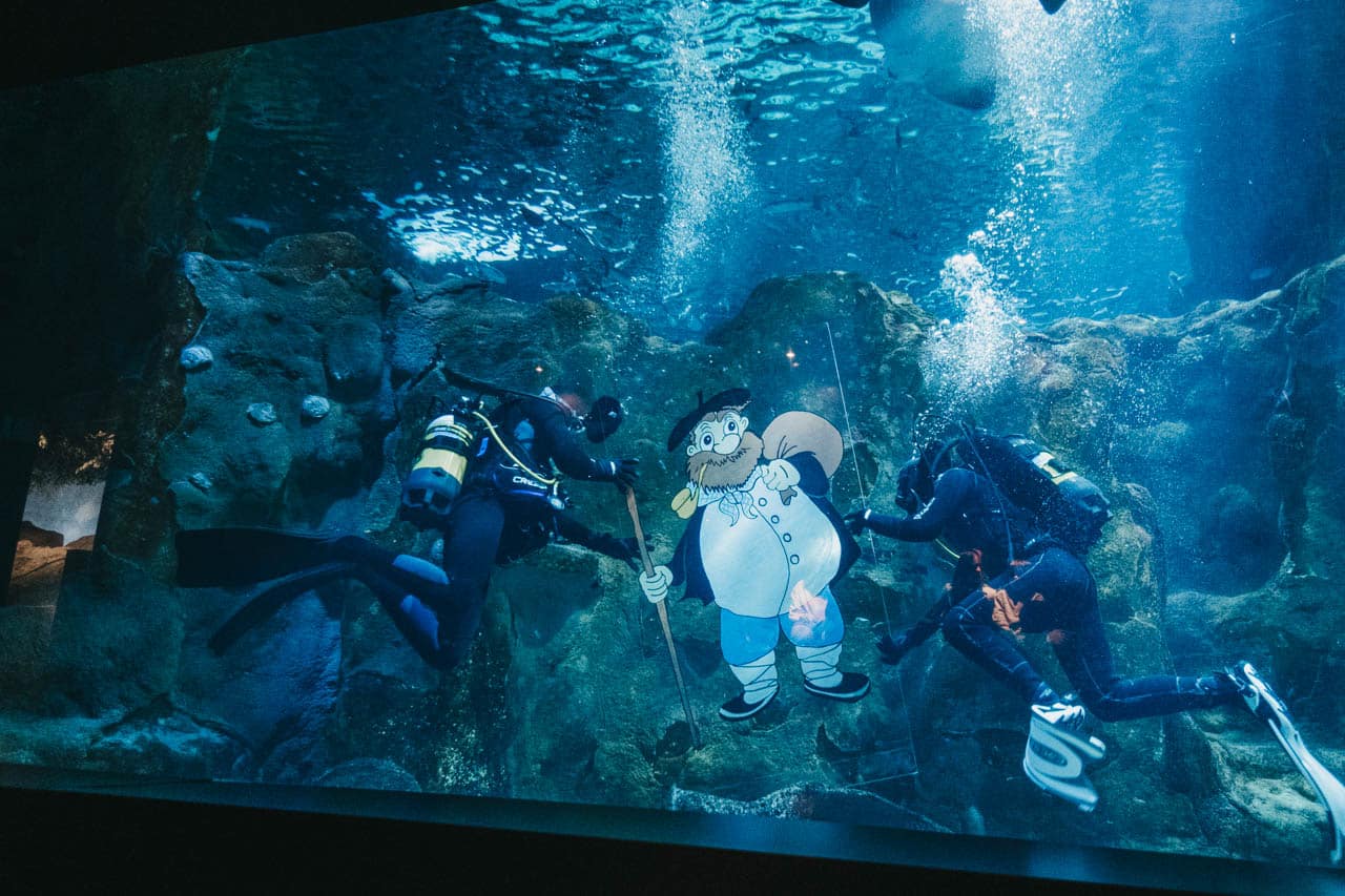 Portada 37 Placeholder