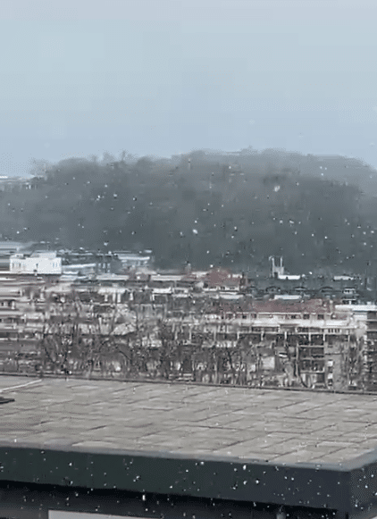 Portada 1 Placeholder