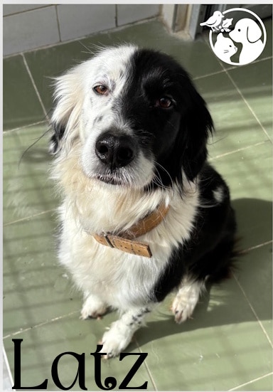 Portada 11 Placeholder