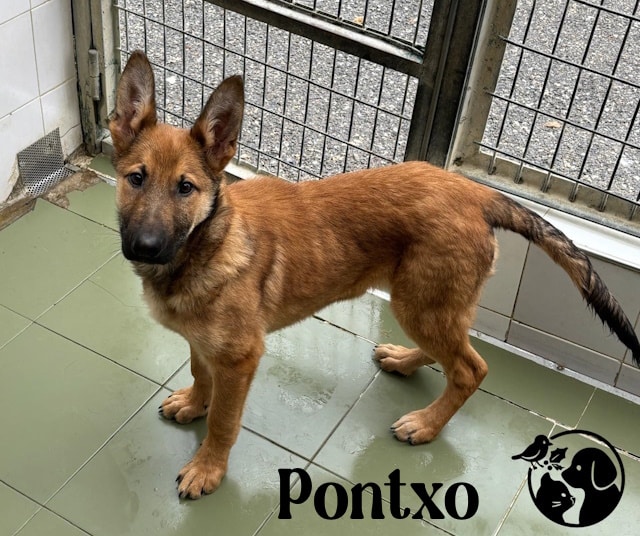 Portada 25 Placeholder