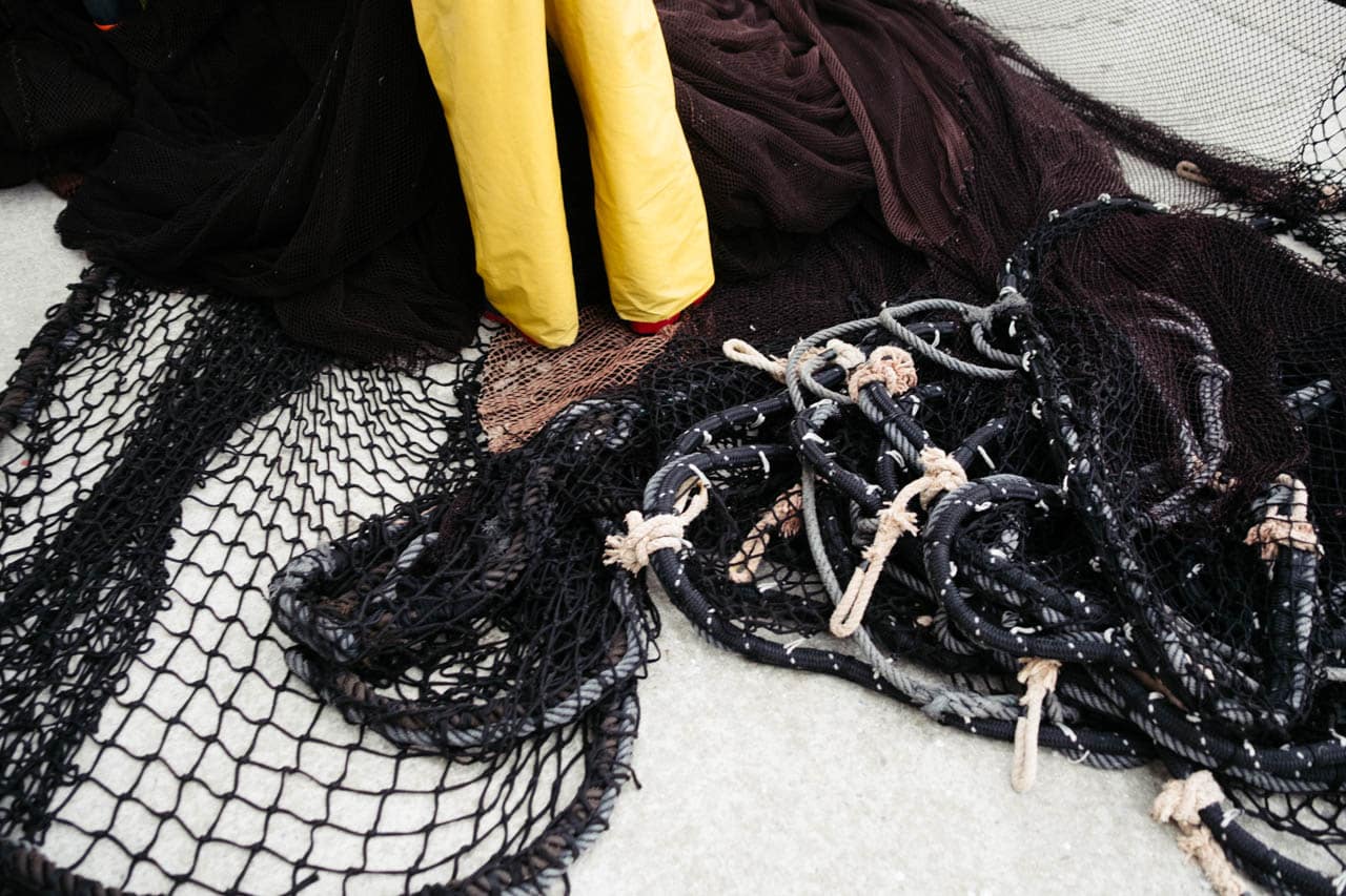 Portada 2 Placeholder