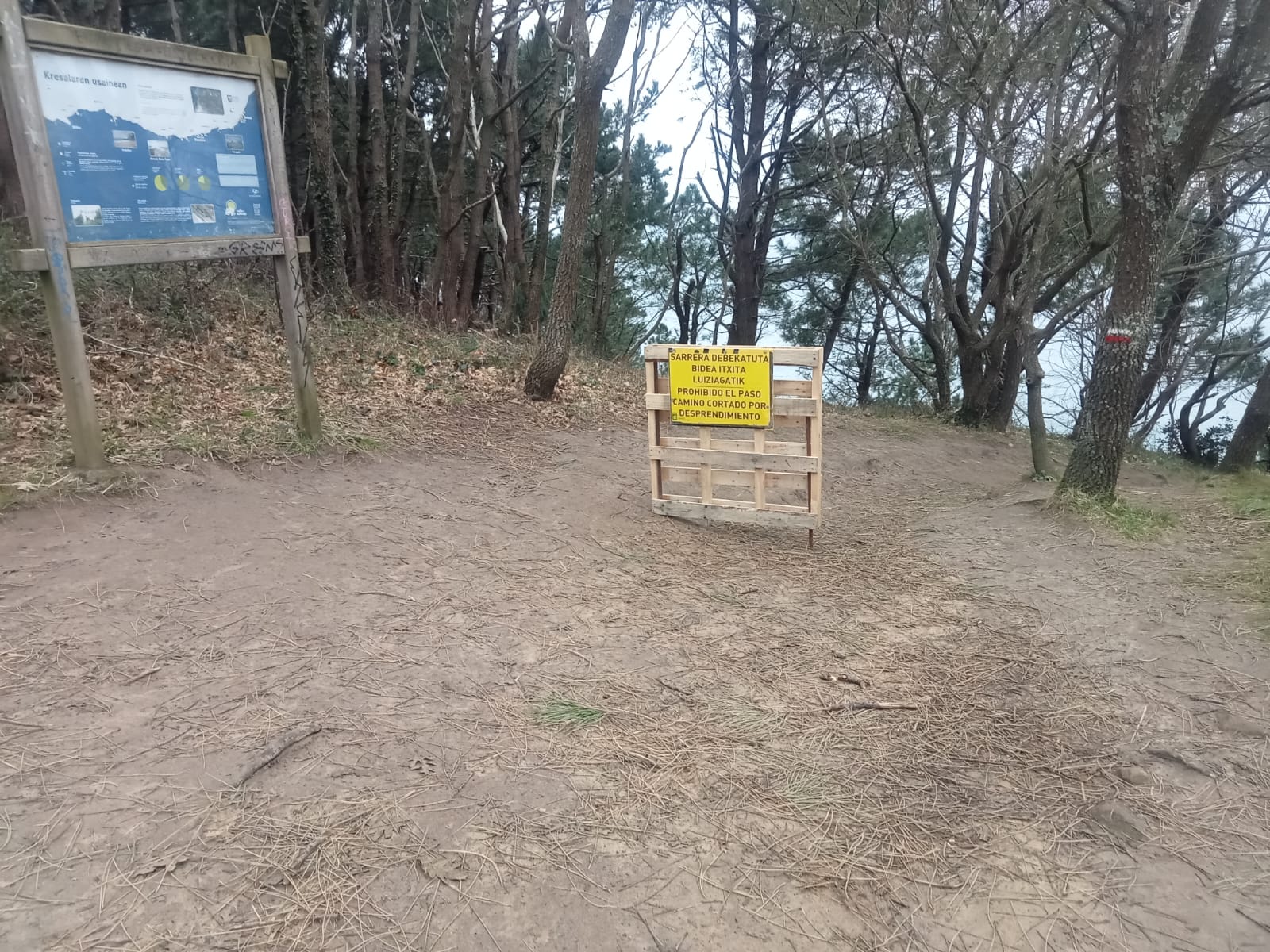 Talaia1 Cortado el camino Talaia de Ulia, entre Donostia y Pasaia, por un deslizamiento de tierras
